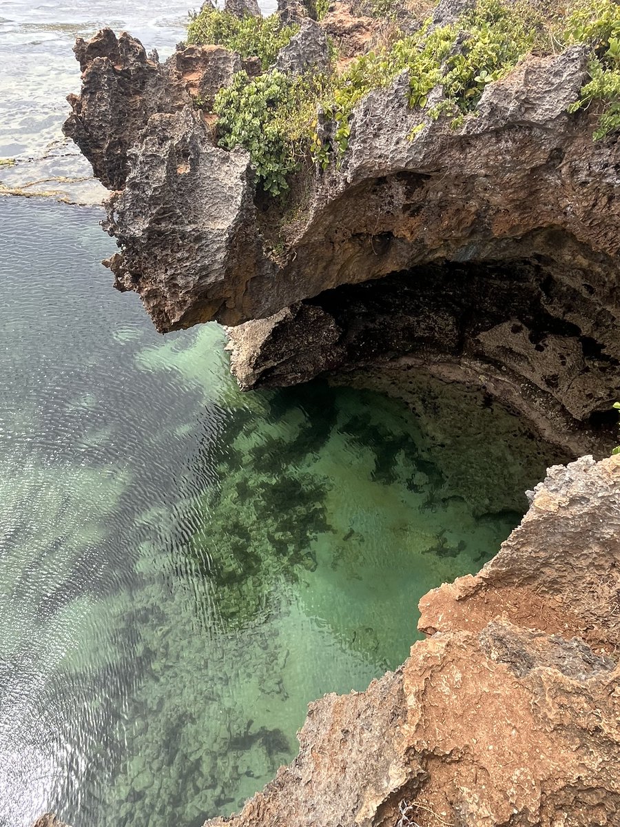 gidikariuki's tweet image. African Pool on Tiwi Beach is such a magical place, but getting there is a different matter. 

Would heavily recommend. Australian Map Pool is also a few metres from it