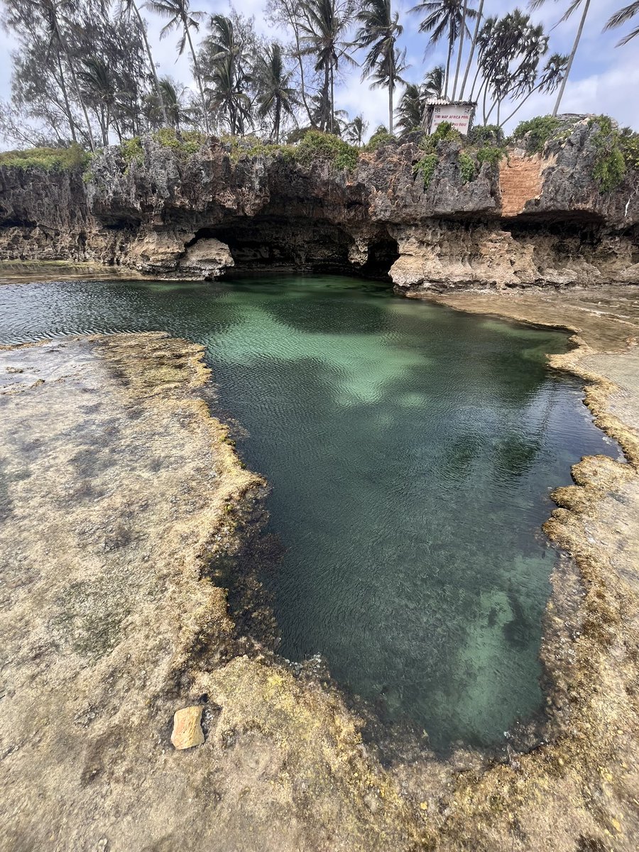 gidikariuki's tweet image. African Pool on Tiwi Beach is such a magical place, but getting there is a different matter. 

Would heavily recommend. Australian Map Pool is also a few metres from it