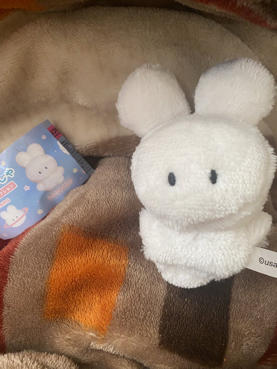 新しい子が我が家にやってきました

名前は、、、すこし呼びづらいから
なんで名前にしようかな