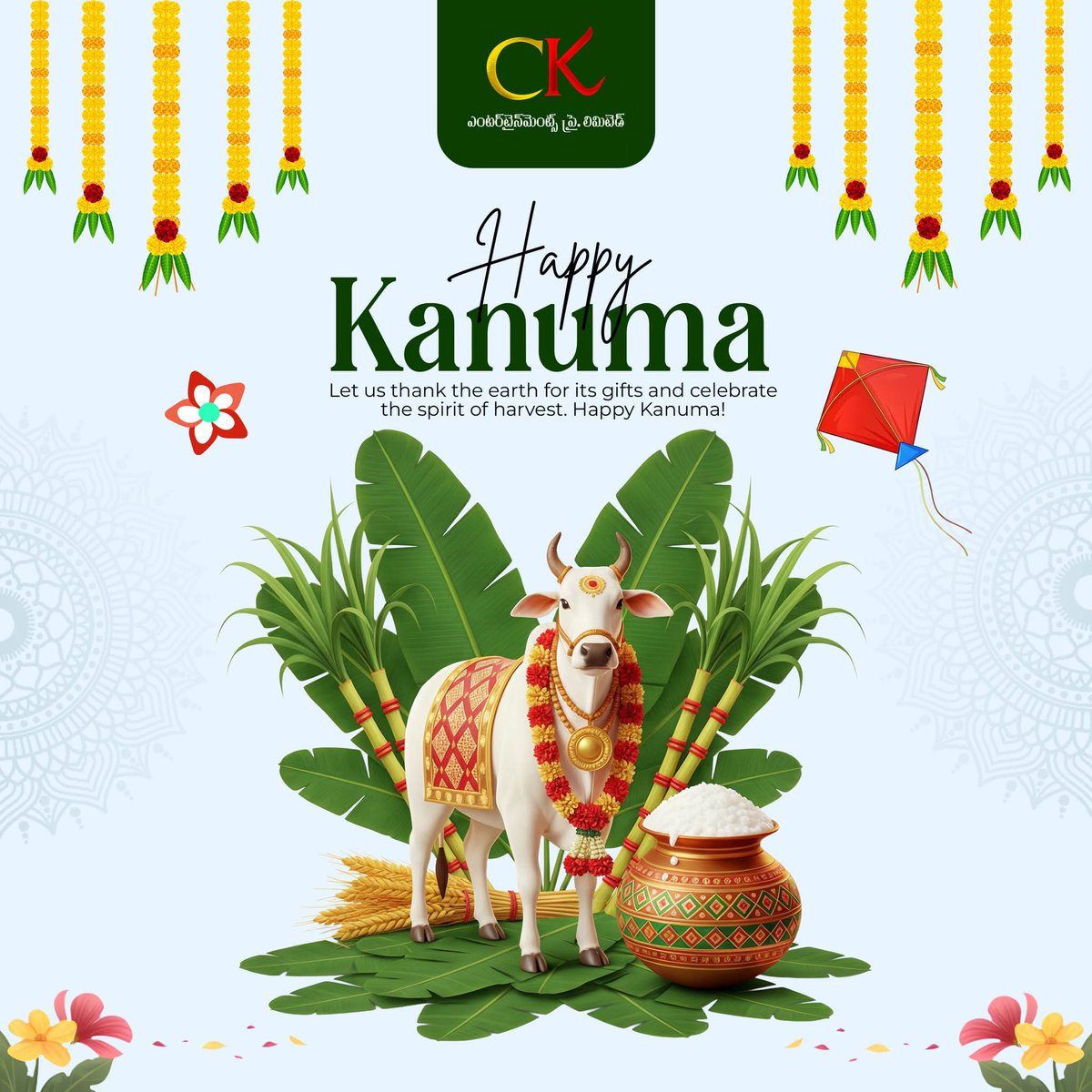 CK Entertainments tweet media