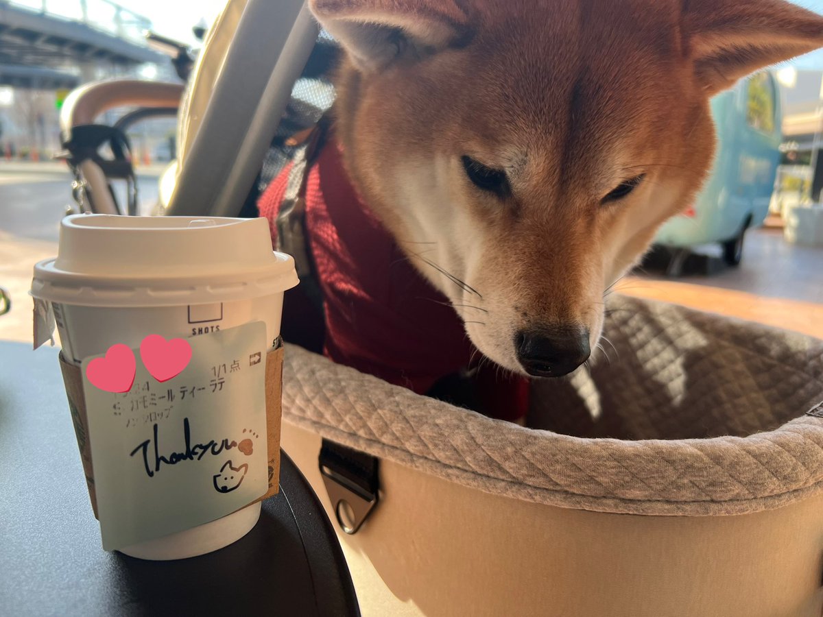 可愛いお姉さんがわんちゃん🐶描いてくれた😭かわいい