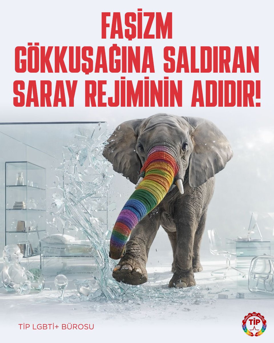 Faşizm gökkuşağında değil; yoksulluğu, çocuk işçiliğini ve nefreti üreten saray rejimindedir.
LGBTİ+’ları hedef göstererek bu çürümüş düzeni aklayamazsınız.