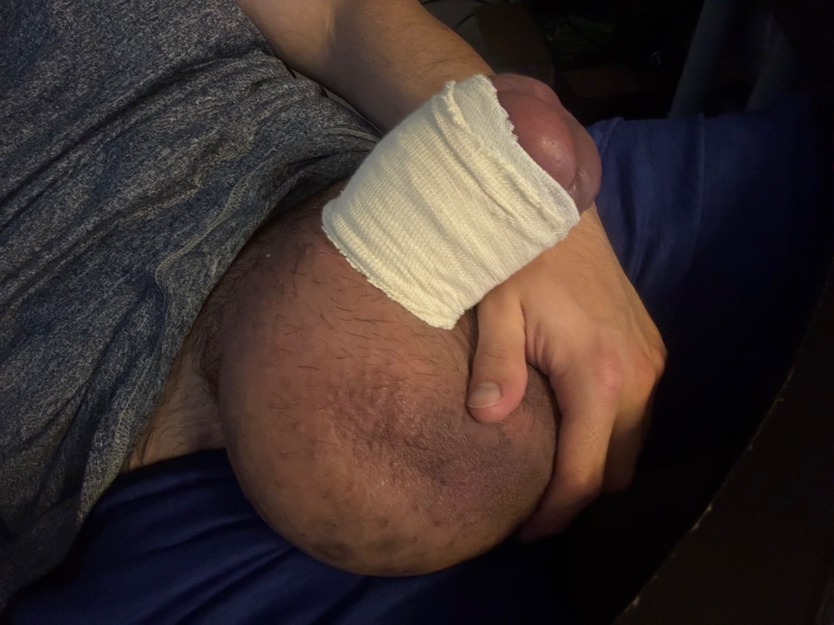 Lorg Dog tweet media