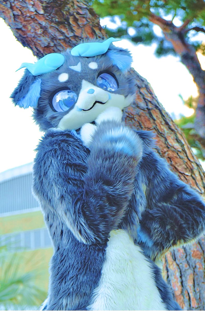 파랑파랑했던 날~ 

#Fursuit #FursuitFriday
