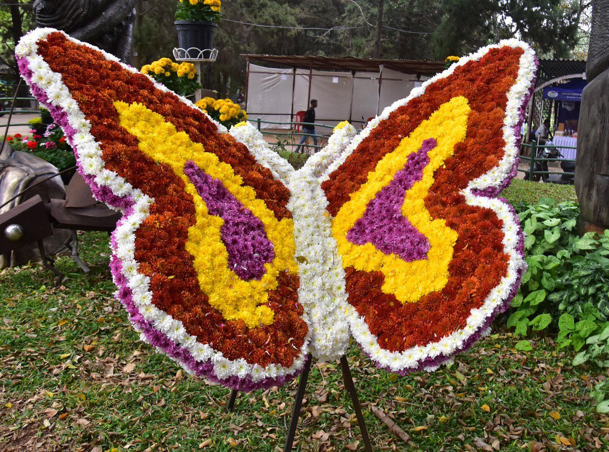 Bengaluru Post tweet media