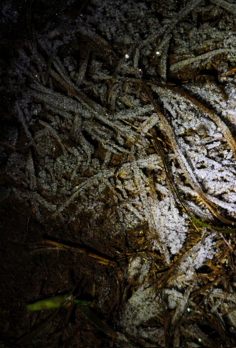 หนาวจนไข่หดมีอยู่จริง...