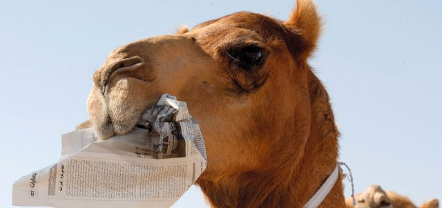 أ.د. عبدالله ‌المسند tweet media