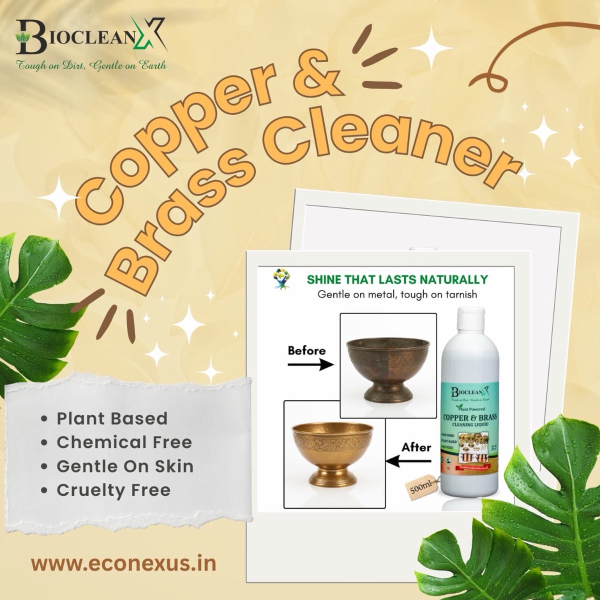 BioCleanX tweet media