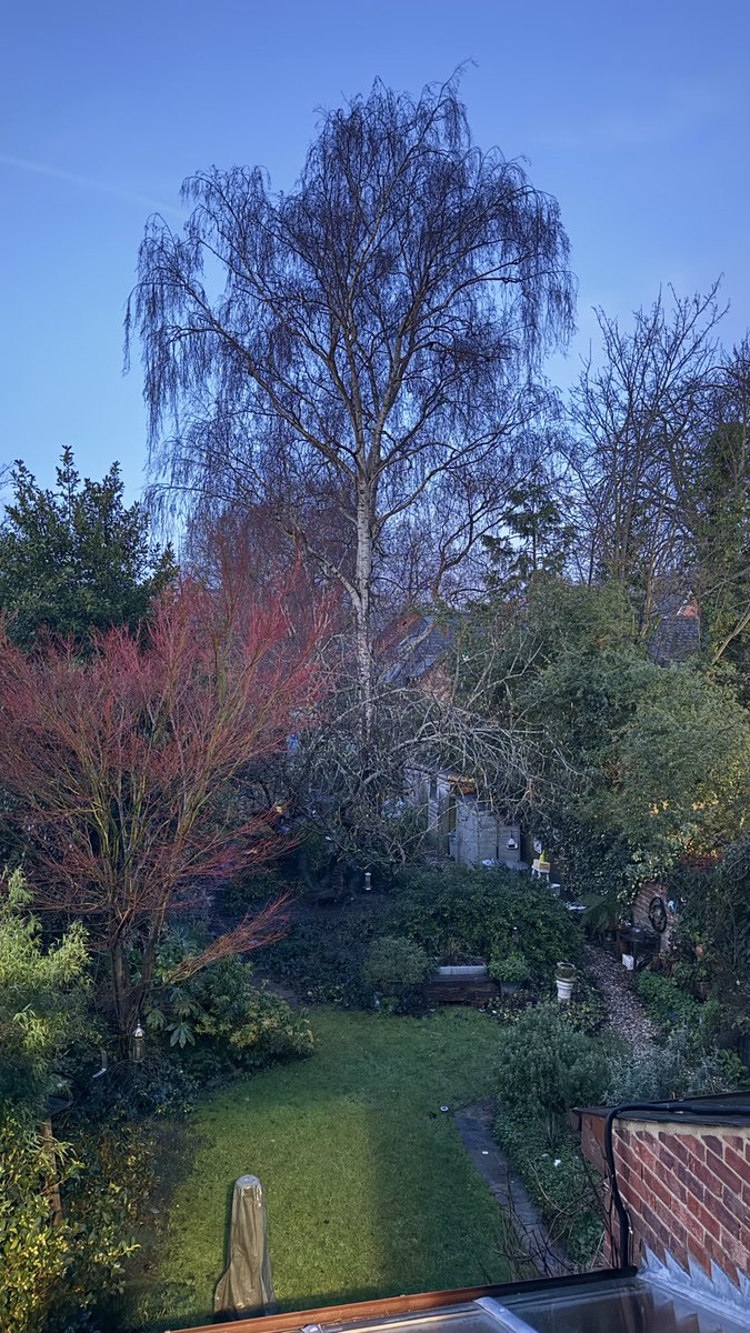 Ian Dennis / Indent Design tweet media