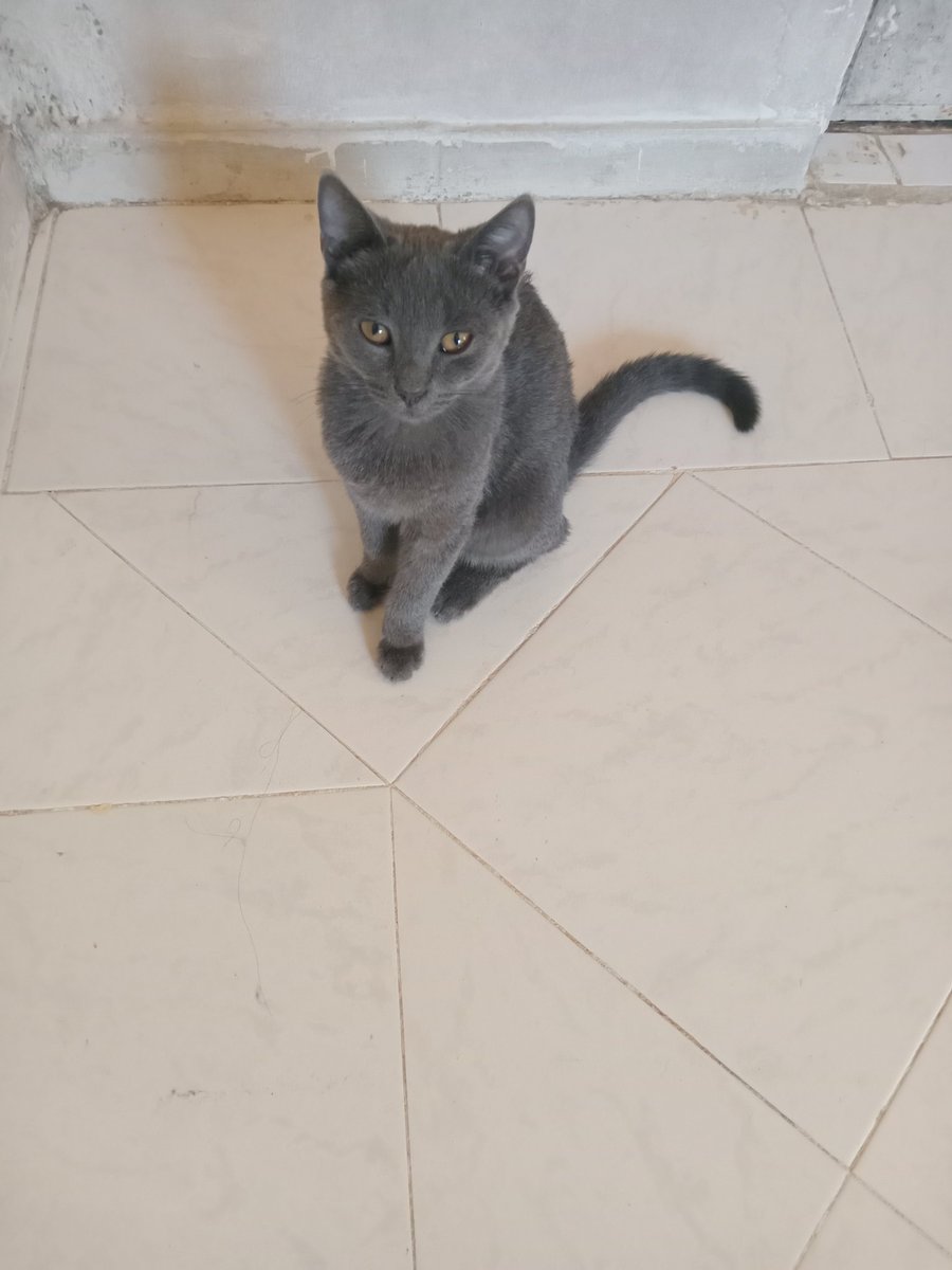 Günaydın❤️‍🩹