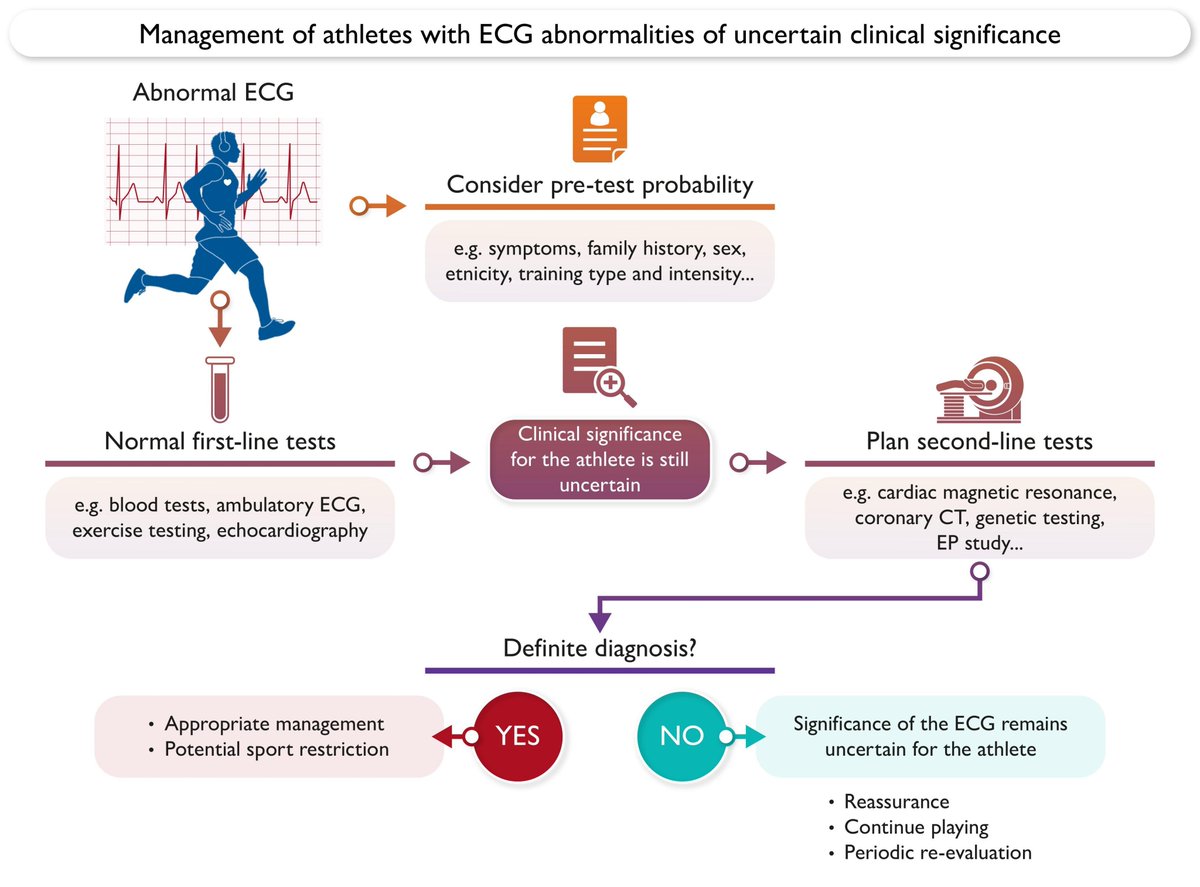 SportsCardiology tweet media