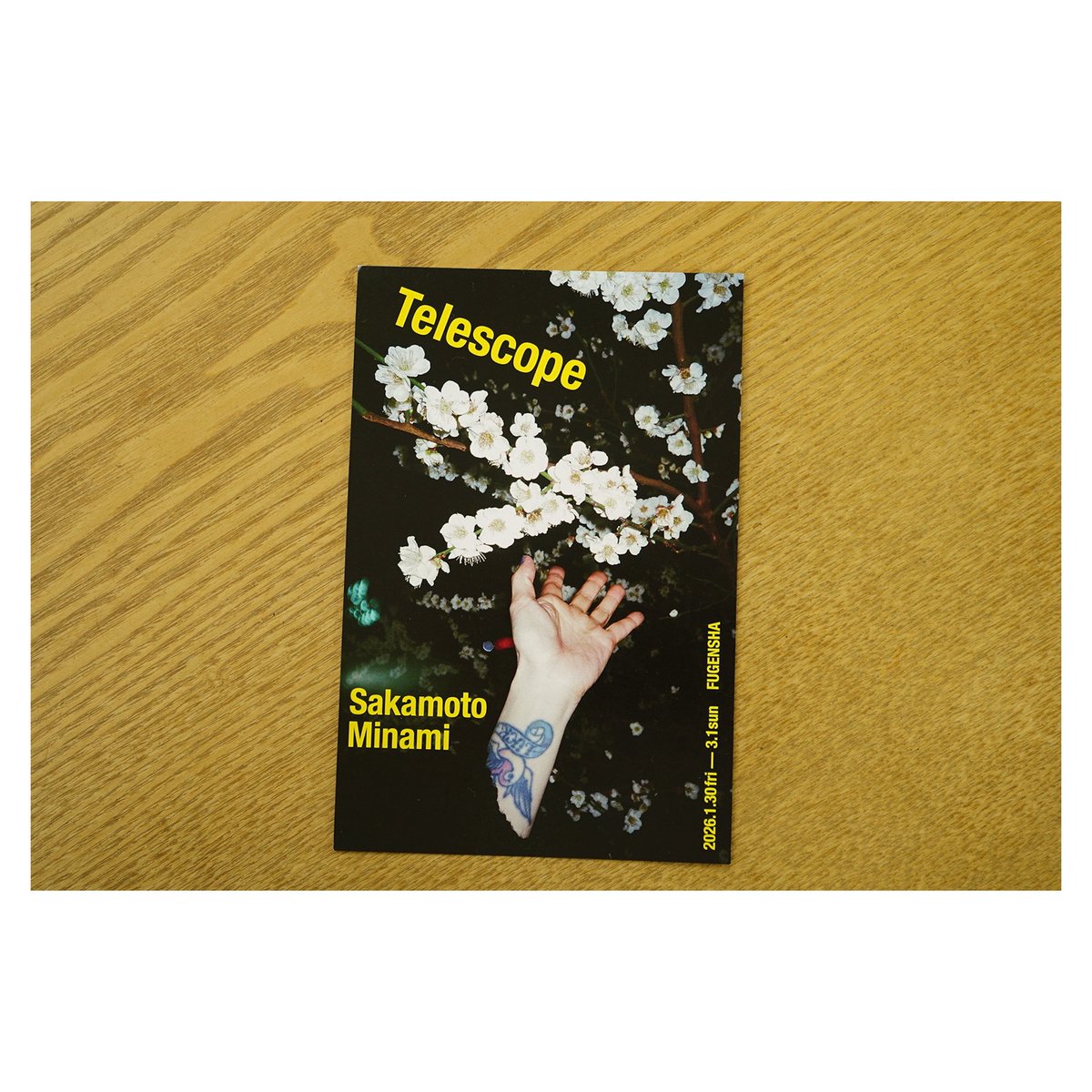 展示のご案内】 雑誌「写真」vol.8 刊行記念 坂本陽 Telescope DMをお