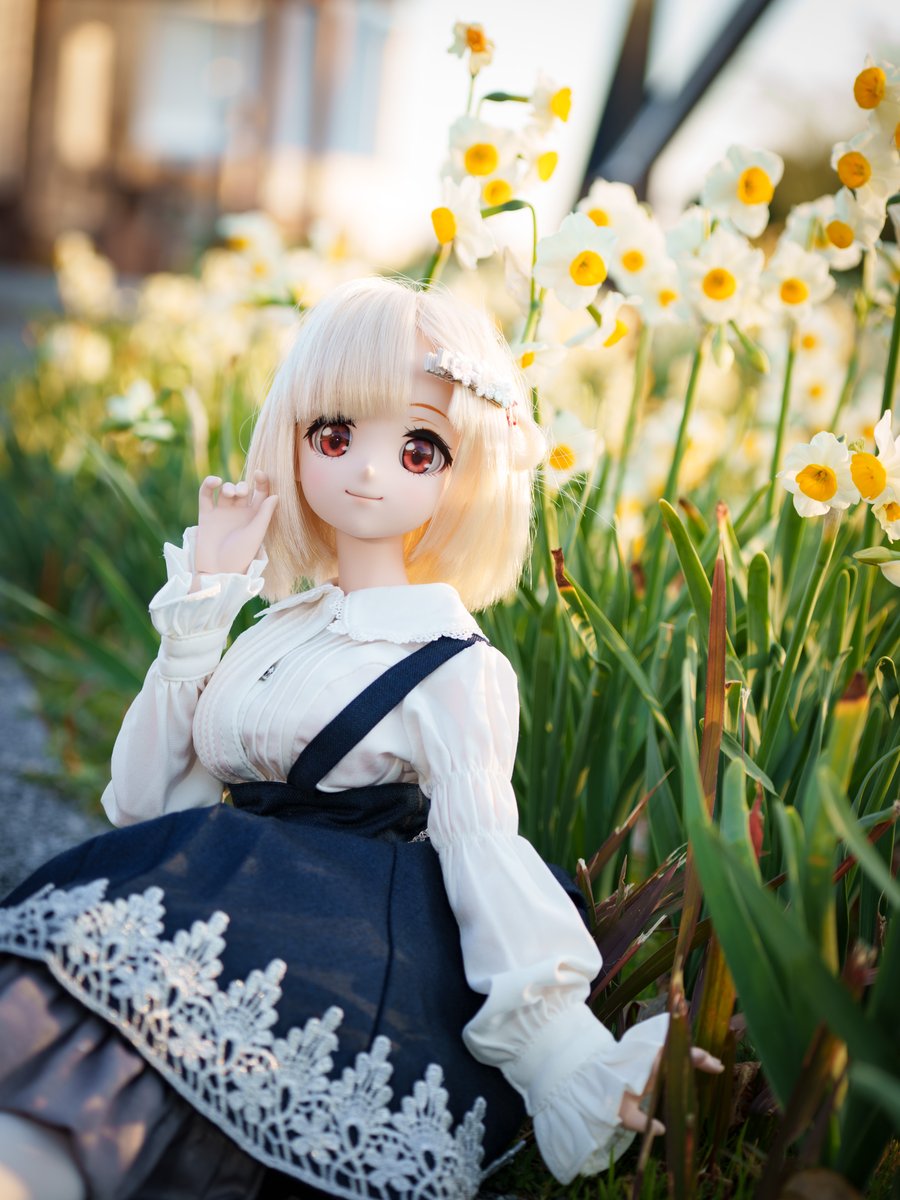 くまの (@z250pcx125) / Posts / X