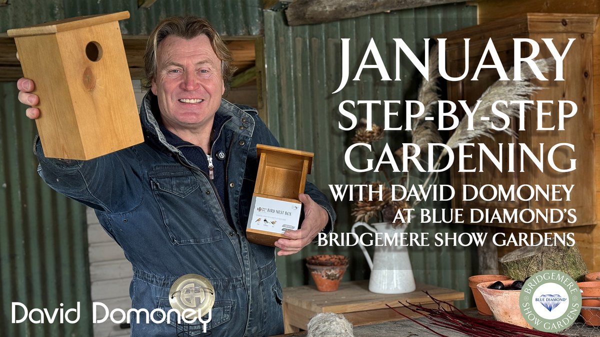 daviddomoney's tweet photo. It's January, and this episode focuses on essential winter gardening tips to help your garden thrive throughout the year. I show you how to attract garden birds and prepare for a successful harvest by demonstrating how to grow potatoes, including the important step of chitting potatoes. 

📺 👉 https://t.co/fizcBQTRkX

Plus, enter this contest to win seed potato collections and planters!

👉 https://t.co/742kNBySHW