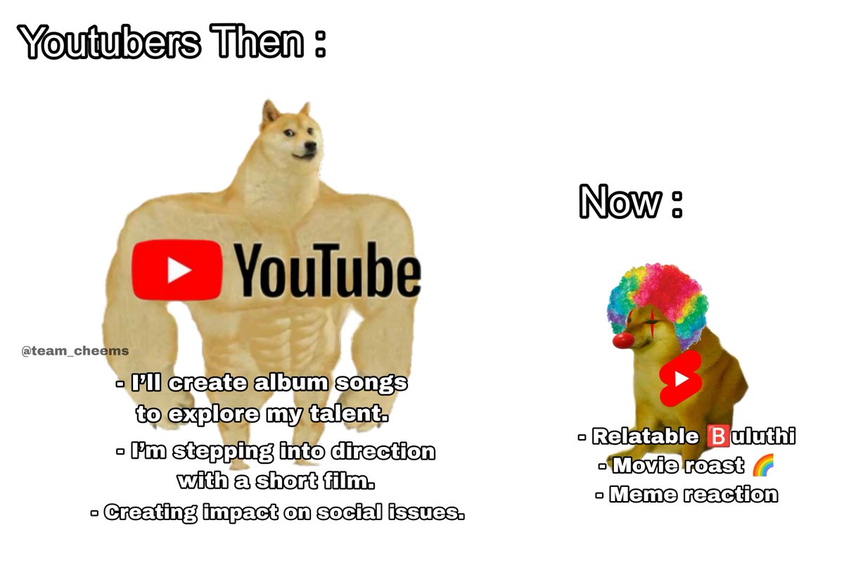 Team Cheems tweet media