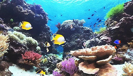 andervilson2's tweet image. 