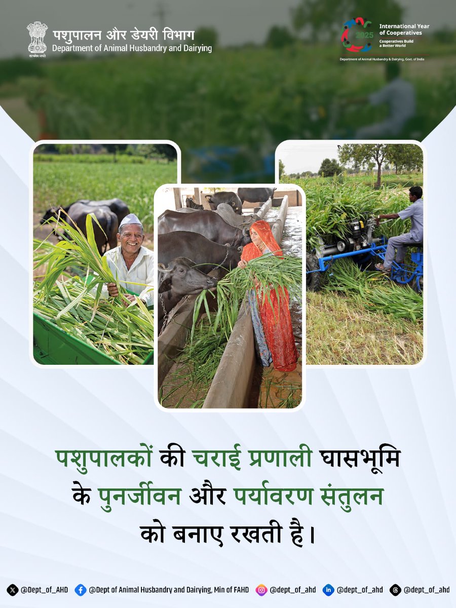 Dept_of_AHD's tweet image. पशुपालकों की चराई प्रणाली घासभूमि के पुनर्जीवन में सहायक होती है और पर्यावरण संतुलन बनाए रखने में महत्वपूर्ण भूमिका निभाती है।
#WomenPastoralists #LivestockCare #MilkProduction #FoodSecurity