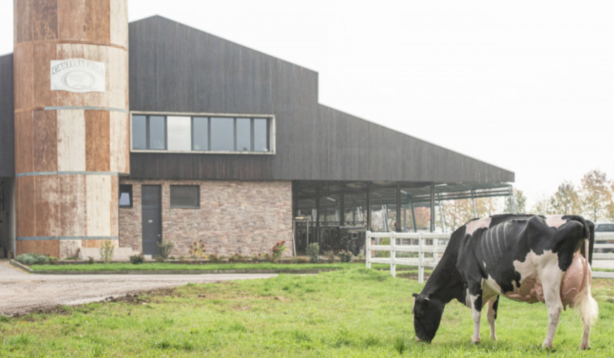 New DairyVoice Podcast: Tim Abbott Talks With Marco Quaini of Castelverde Holstein in Italy.
dairybusiness.com/tim-abbott-tal…