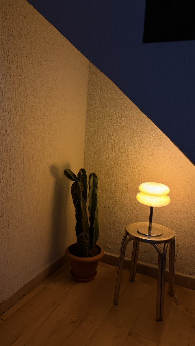 rueuxdesign's tweet photo. My house is so happy to be my house https://t.co/mk49ikiVgL