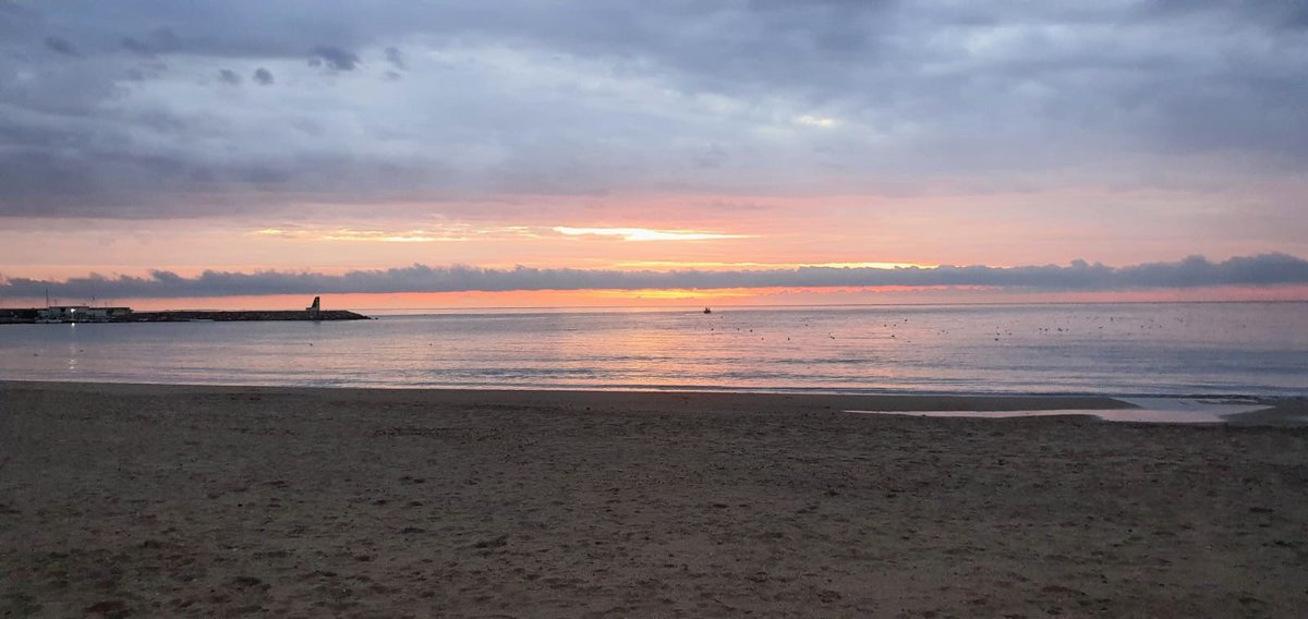 CampelloTurismo's tweet image. Nos encanta despertar al día junto al mar, sin prisa, y descubrir esas pequeñas cosas cotidianas de El Campello; un barco faenando, las gaviotas revoloteando en busca de su desayuno, el sol que empieza a apartar las nubes... 😍
Feliz viernes desde el paraíso, os esperamos!