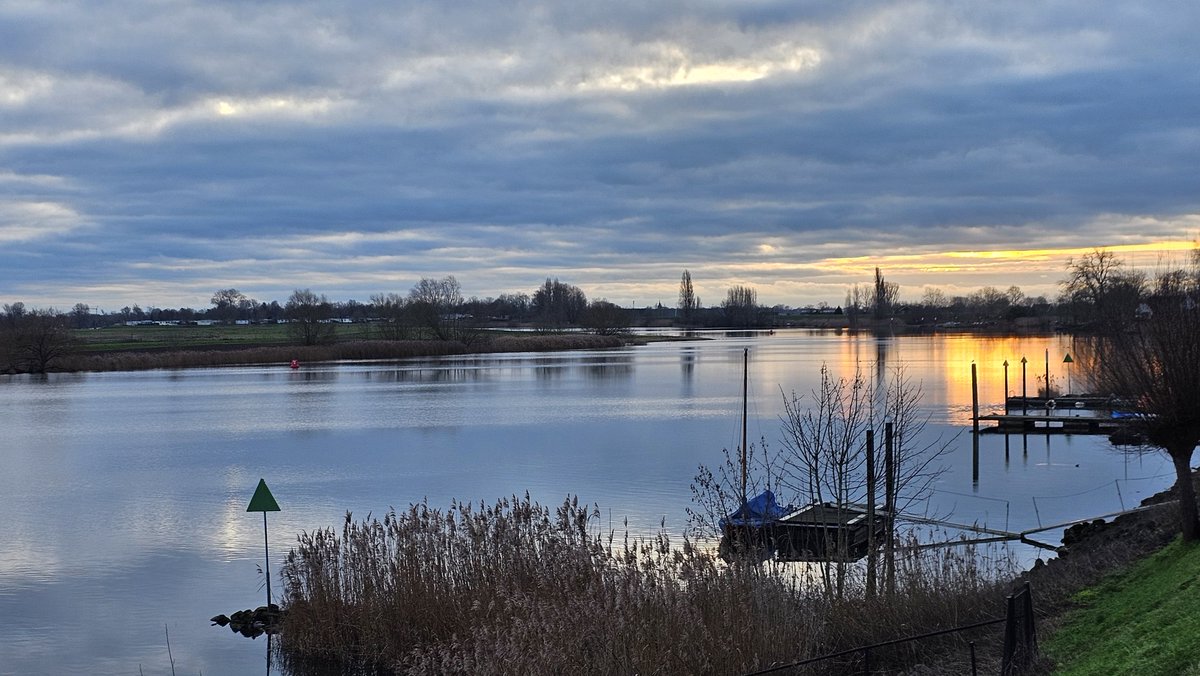Motormiss's tweet image. Zwaarbewolkt vanmorgen, maar droog en niet koud. Het silhouet van een berenklauw steekt mooi af en ja hoor... uiteindelijk kwam toch de zon tussen de wolken door
#afgedamdemaas #Altena #Andel #zonsopgang
