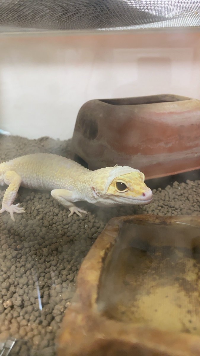 ™★☆SCARFACE☆★ tweet media