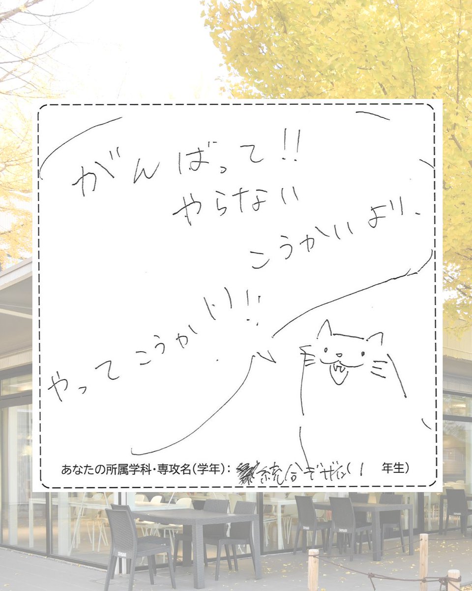 DAMIJAW ka-yu直筆メッセージ写真 DAMIJAW ka-yu直筆メッセージ写真