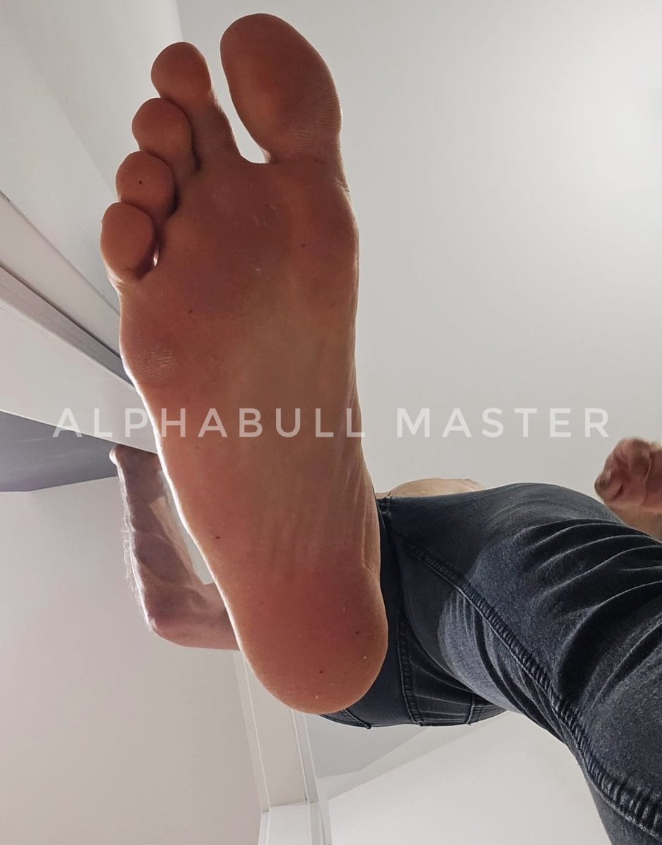 AlphaBullMaster's tweet photo. To twoja ulubiona perspektywa. A teraz macie grzecznie podać mi kawę ludzkie kawomaty.

@rt_feet 
@AlphaMaleWorld1 https://t.co/fYD9CJrhbd