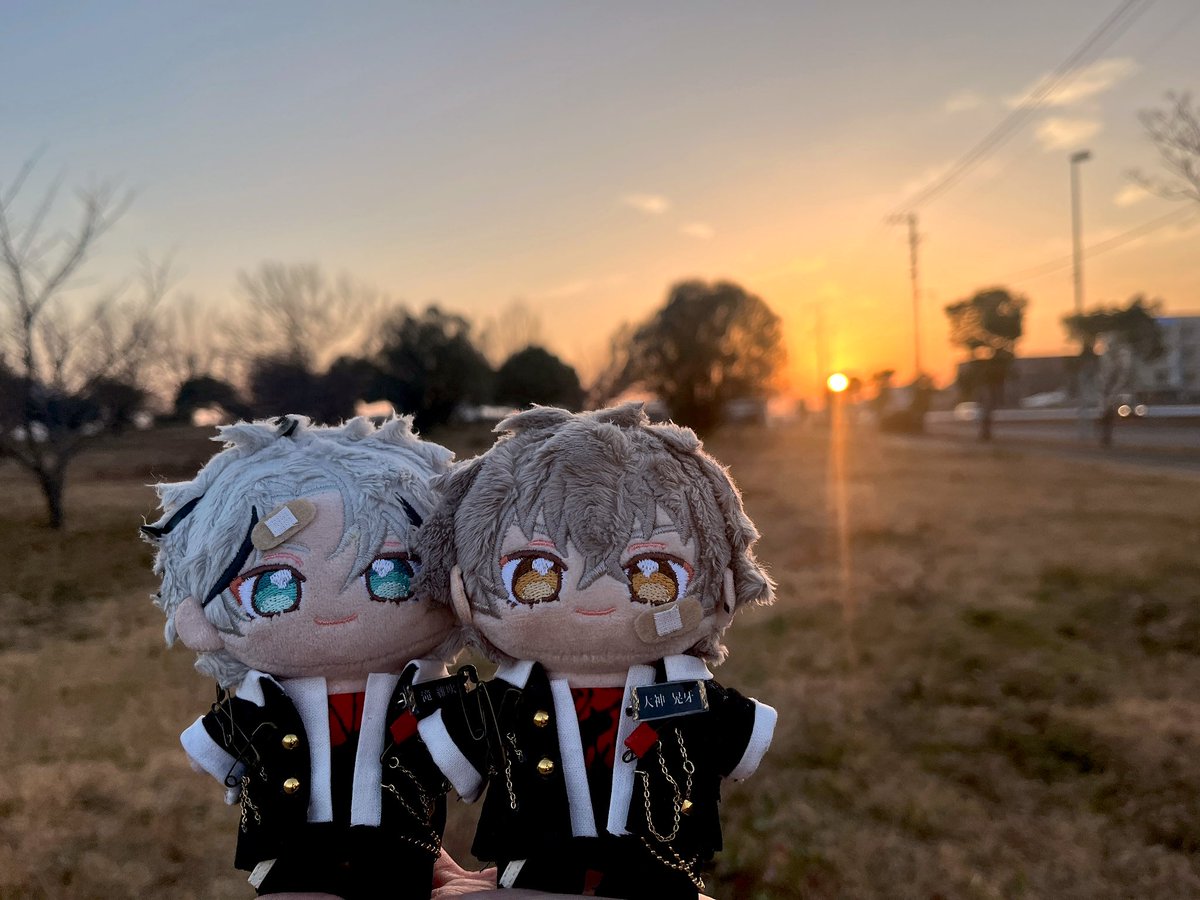 喧嘩はほどほどに🩹🌇