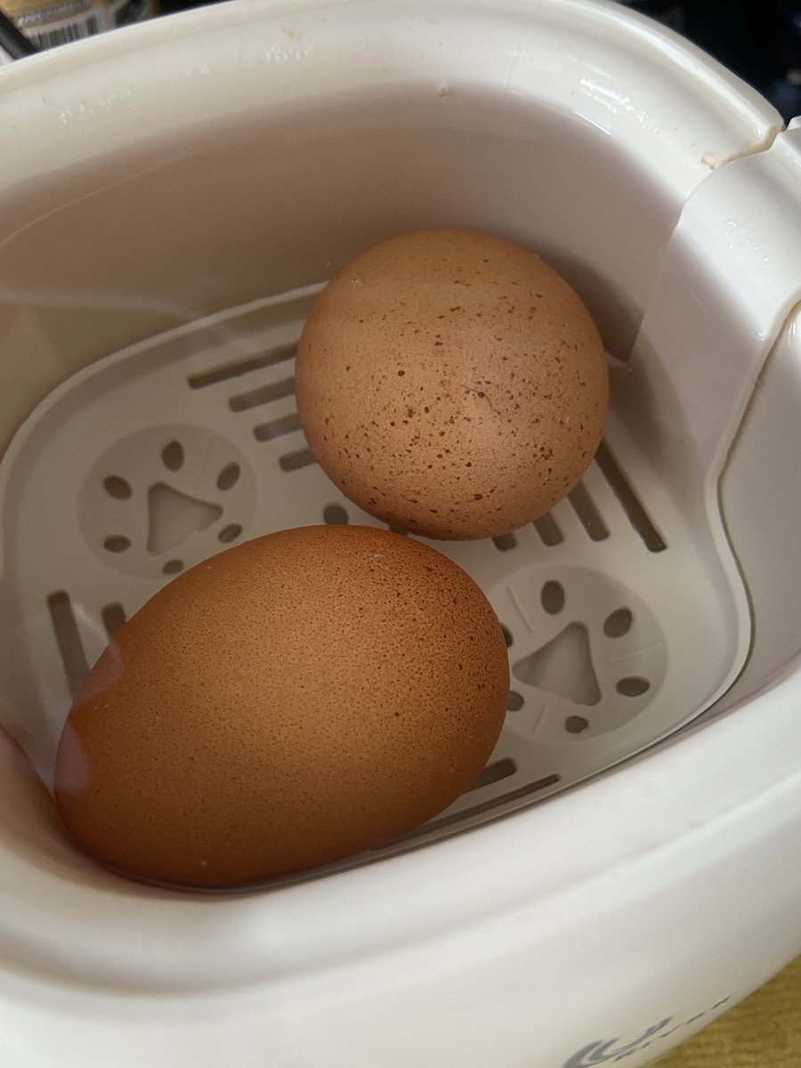 ROSALYN ⟢ tweet media