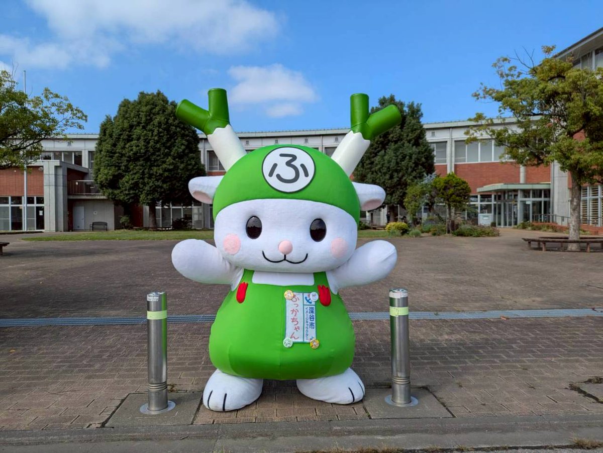 ふっかちゃんに届いた年賀状、返信作業も一段落ついたぁY(o0ω0o)Y今日