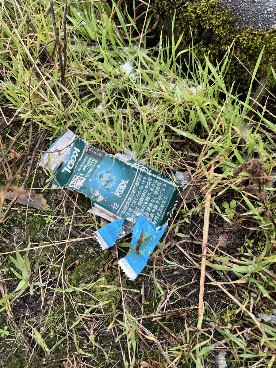 コツコツとゴミ拾い。