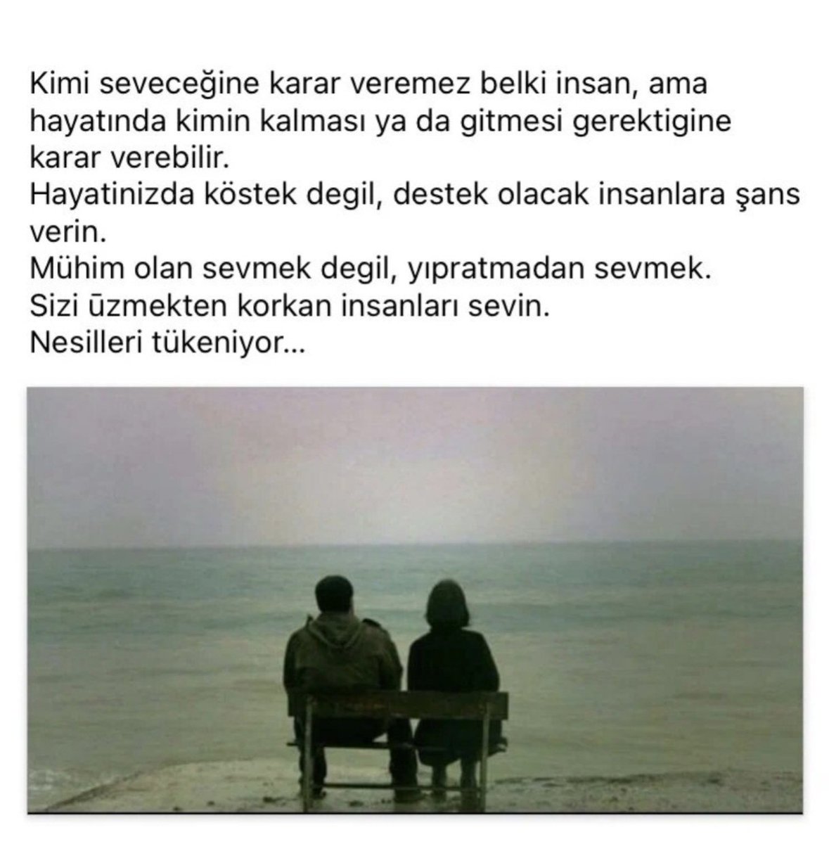 MesutMesut tweet media