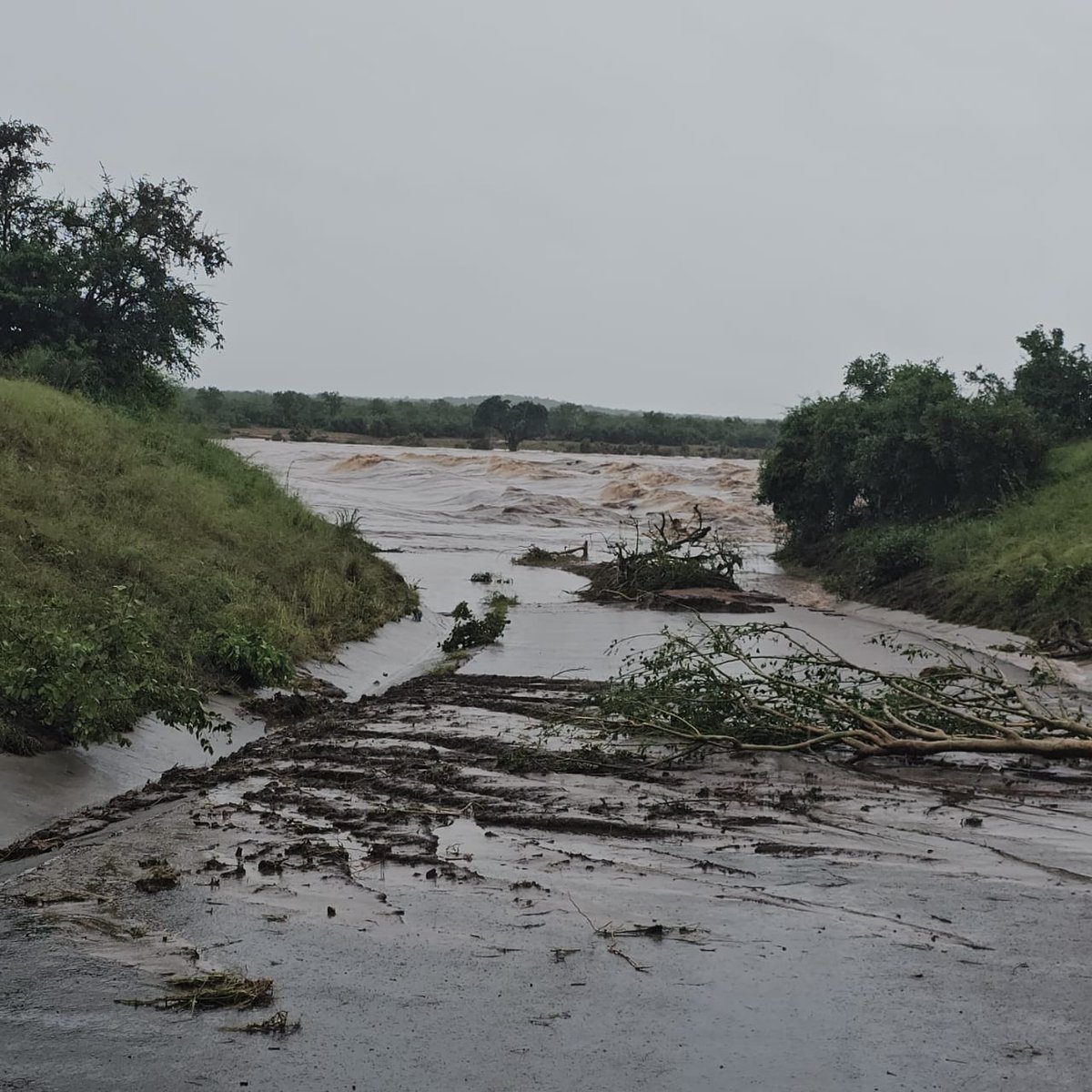 SANParksKNP's tweet image. ⚠️Social Media Alerts⚠️

H14 at 09h15 on 16 January 2026

#KrugerFlood2026  #LiveYourWild #WildBackyard

Kruger National Park Emergency Hotline 013 735 4064 /013 735 0197 : Mobile 0613074987 : WhatApp 076 8019679