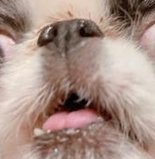 MPoslon's tweet image. テーブルの不安定が再び 🤫