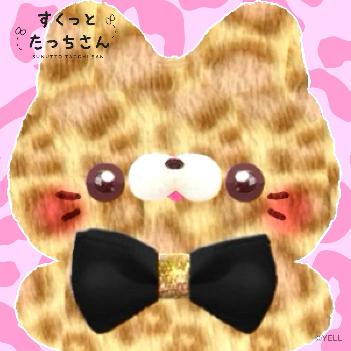 #TLに大きな猫のドアップ画像をあげて人々を幸せにしよう計画

ﾇｫ…