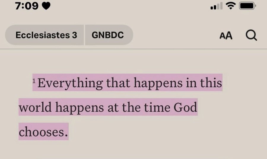 Bible 365 tweet media