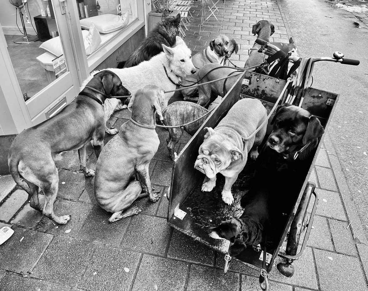 Fidel Amos ⟁ tweet media