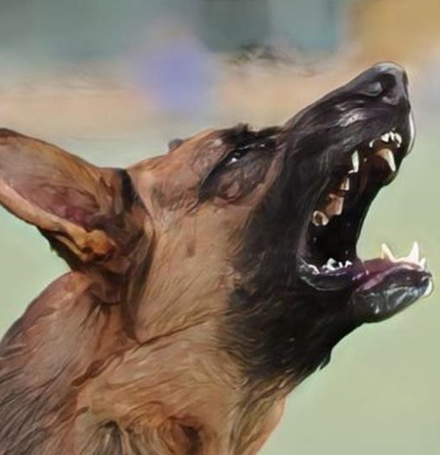 programrunner's tweet image. 店内で白湯飲みながら洗濯 🐠