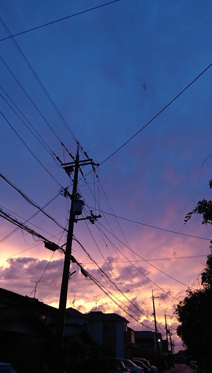 boritri's tweet image. 今日で禁酒3週間目突入
体調は良いけど、飲み会の誘いを断るのが辛い ✍️