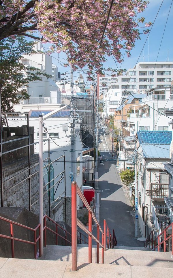 CDIGwonam's tweet image. 野鳥観察に出かけて珍しい鳥を3種類も見つけられた
早起きした甲斐があった 💐