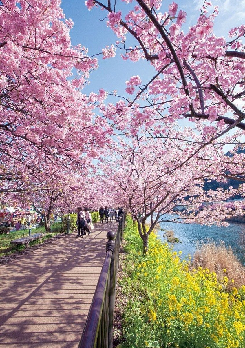 TalkingMute's tweet image. 新しいスマホケース買ったけどサイズ間違えて返品することになった 🤪