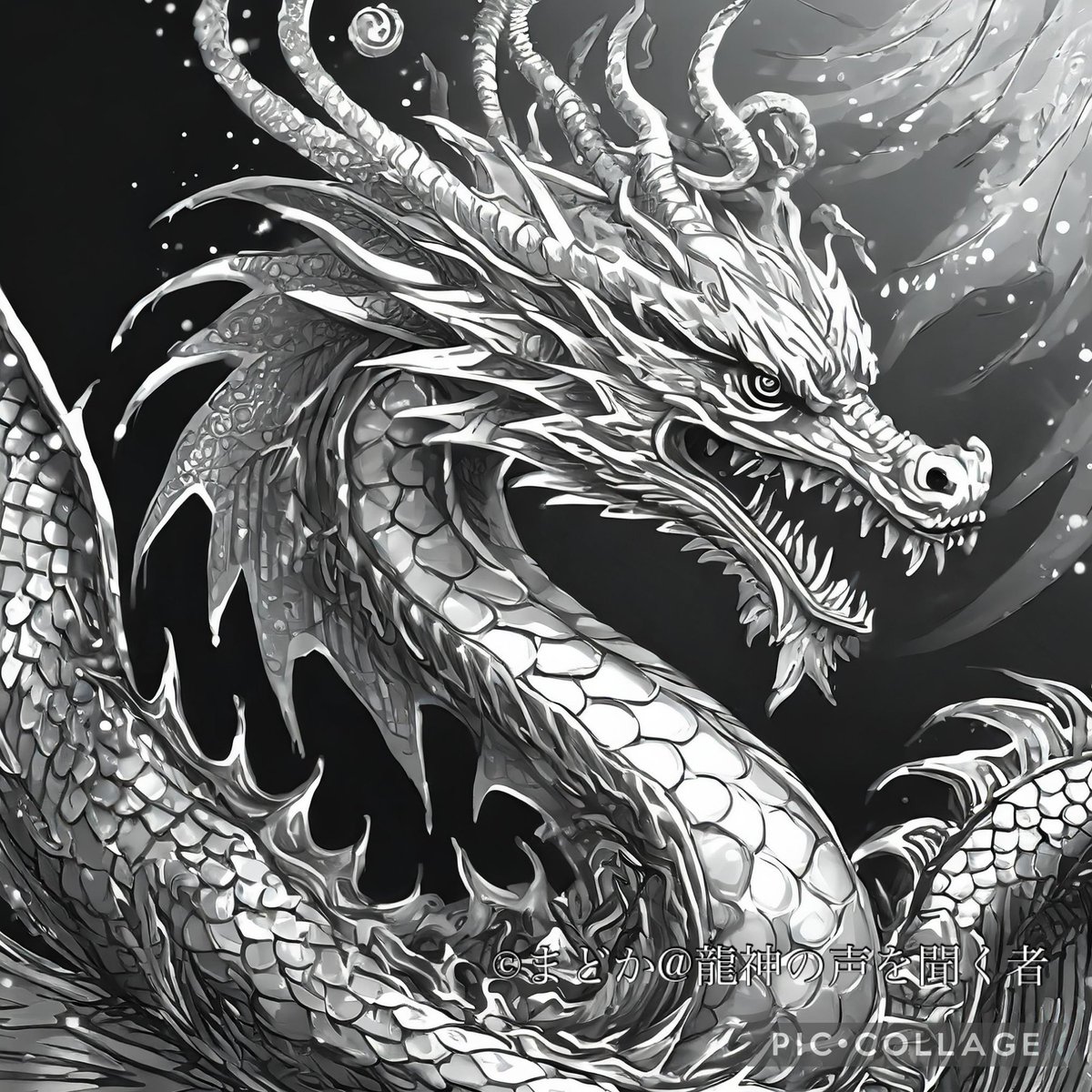 【2026.1.17の龍神の声】

おはようございます。必要ならば何度でも龍神は声を届けてくれます。

『銀龍』