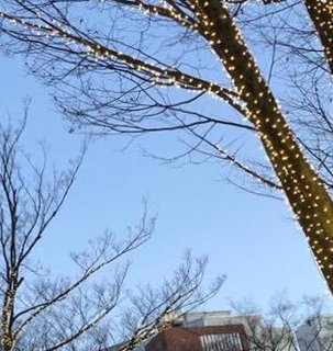 ragebringer's tweet image. 暑いでながら作業したい 🦁