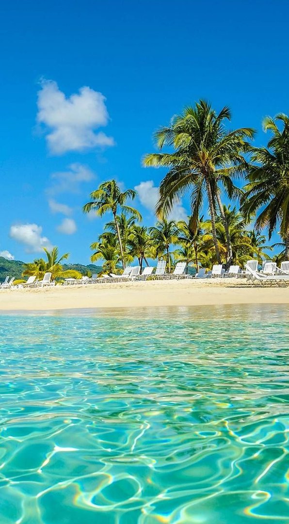 techcz's tweet image. 同僚のお弁当がいつも美味しそうで羨ましい
自分のコンビニ弁当が急に虚しく見えてきた 🐢