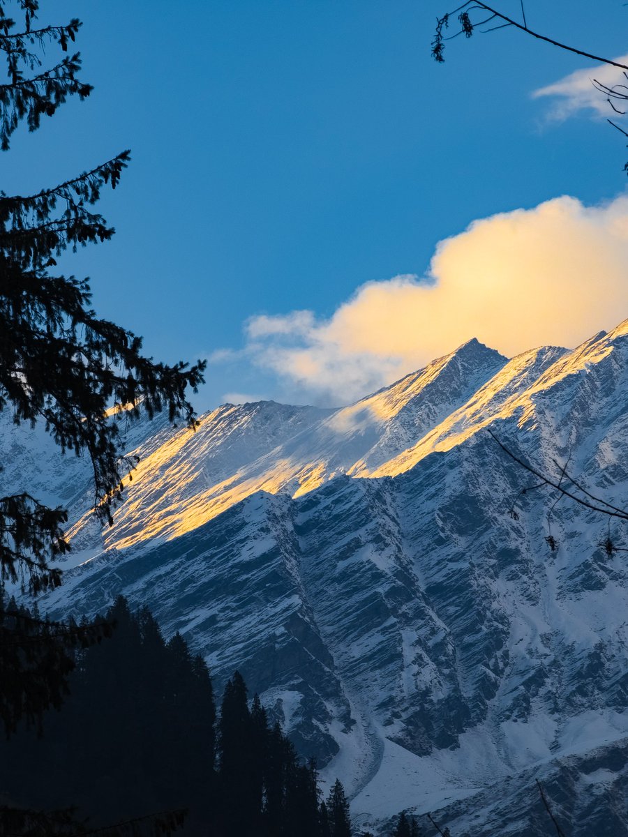 Pushed a button and got these 🥀🥀