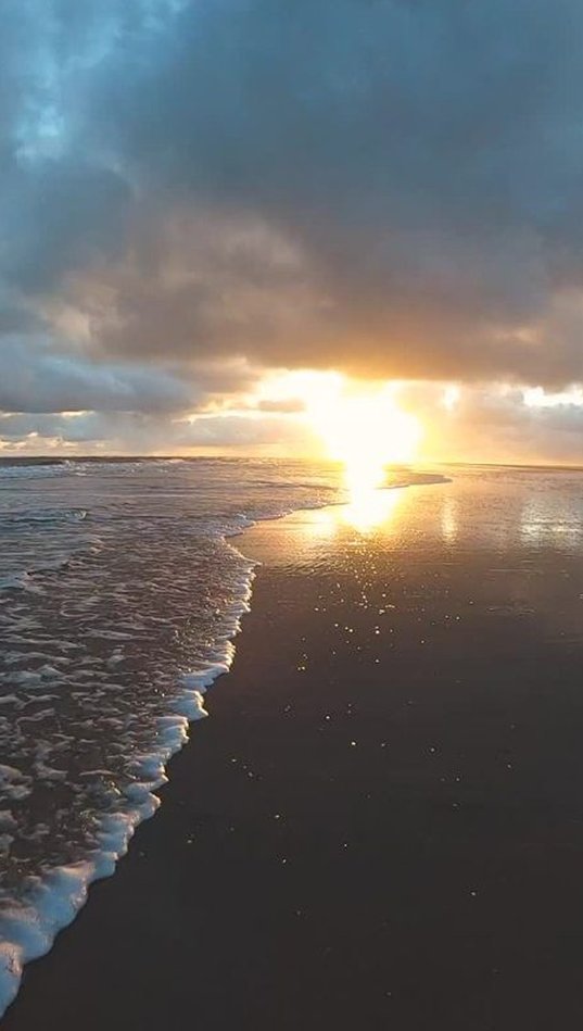 Infospace2's tweet image. お気に入りのパン屋さんのメロンパンが今日も美味しくて幸せ 🐥