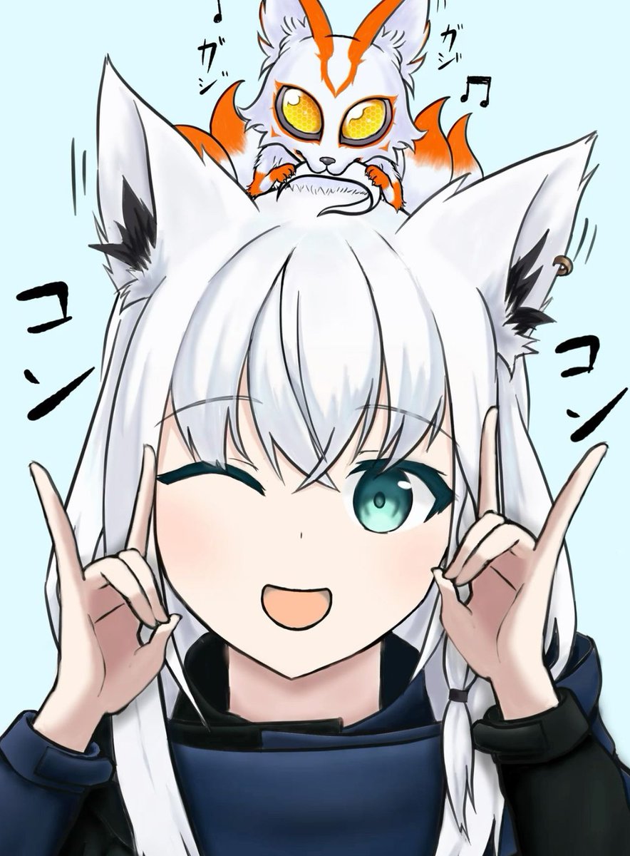 TeamDVD's tweet image. YouTubeで猫の動画ばっか見てる 🏨