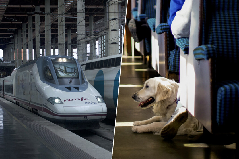 Tras 20 años de obras y 4.000 millones de euros, los asturianos reclaman una última cosa para el AVE: viajar con su perro #MarketingEstrategiaDigitalizacion ow.ly/7TNM106tbnN