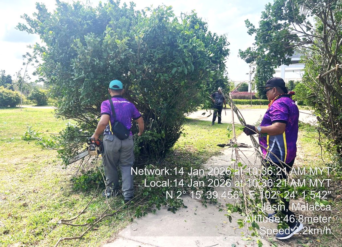 Jabatan Landskap dan Perkhidmatan Bandar MPJ melaksanakan kerja cantasan pokok di sekitar Daerah Jasin.

Langkah ini merupakan sebahagian daripada usaha berterusan MPJ bagi mengurangkan risiko kejadian pokok tumbang serta memastikan keindahan dan keselamatan persekitaran awam.